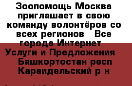 Зоопомощь.Москва приглашает в свою команду волонтёров со всех регионов - Все города Интернет » Услуги и Предложения   . Башкортостан респ.,Караидельский р-н